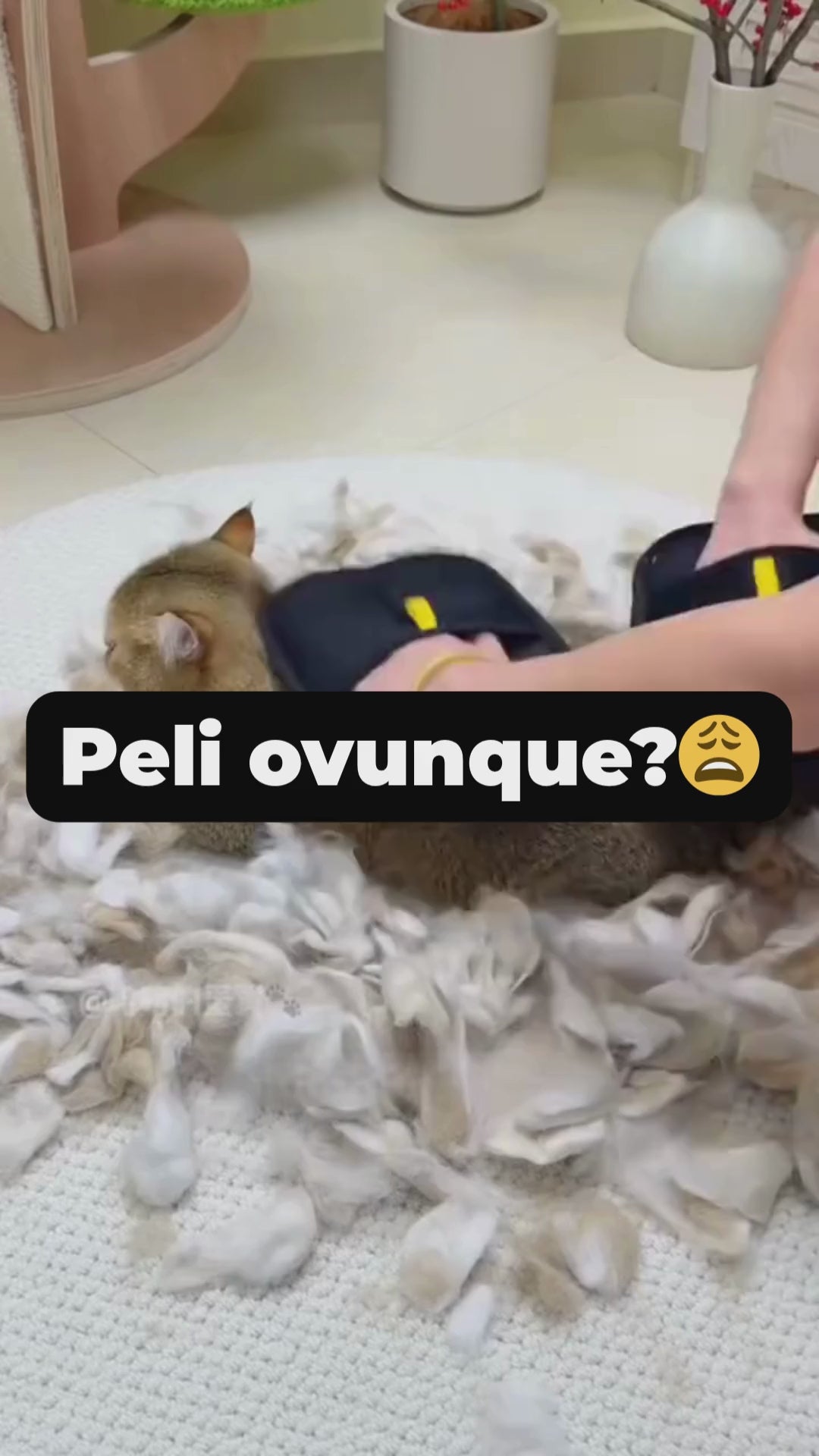 Carica il video: 
